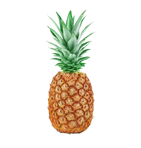 Pinya
