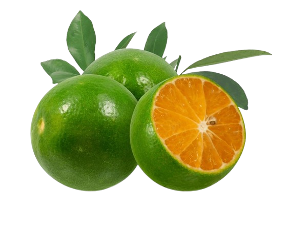 Calamansi